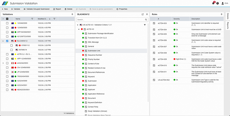 eValidator FIVE validation report